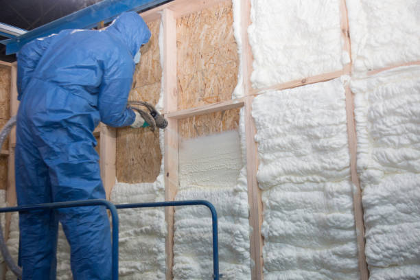 Best Crawl Space Insulation in Glen Ridge, NJ